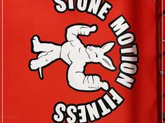 -Stone Motion释动健身