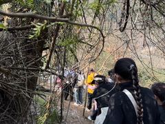 -青龙山国家森林公园