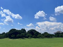 -奈良公园