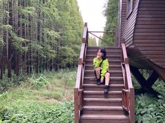 -黄海国家森林公园