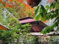 -缘生态云南菜·野生菌庭院餐厅(华侨城店)