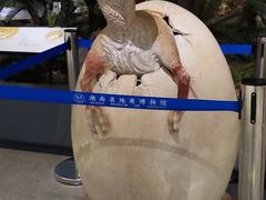 -湖南省地质博物馆