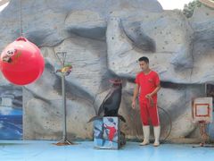 -泉州海丝野生动物世界