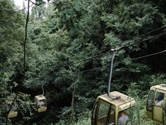 -黔灵山公园