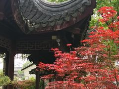 -枫桥景区