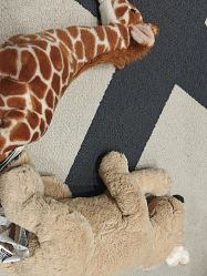 点击看大图 -奈尔宝家庭中心·亲子餐厅(苏州大悦城店)