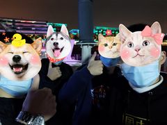 -武汉关码头(轮渡站)