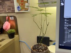 -海马体照相馆(上海宝山万达广场店)