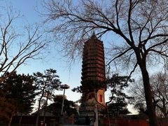 -西海子公园
