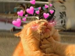 -Helens海伦司小酒馆(红旗南路店)