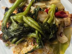 -北京首都机场希尔顿酒店