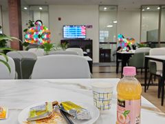 -桃仙机场头等舱休息室