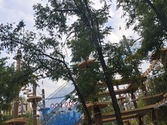-杨柳青庄园