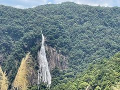 -广州市石门国家森林公园