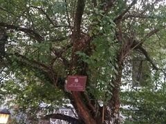 -广东温泉宾馆