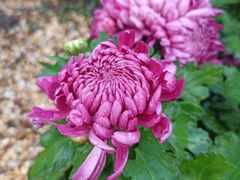 -共青国家森林公园-售票处