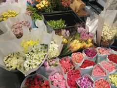 -溪岸路花鸟市场