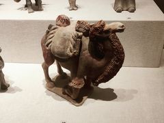 -陕西历史博物馆