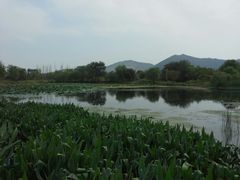 tuying07-长兴太湖图影湿地文化园