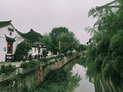 -秋霞圃