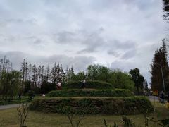 -前小桔亲子创意农场·草莓采摘·露营烧烤