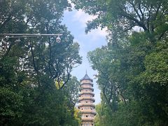 -灵谷景区