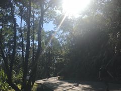 -广州市帽峰山景区