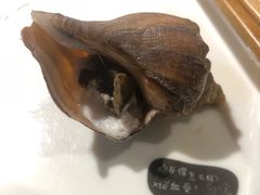 海螺-马路边上·小海鲜烧烤(八一路店)