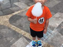 -苏州金鸡湖中茵皇冠假日酒店