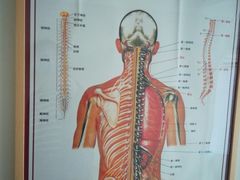 -杏林康桥中医正骨·体态矫正·跌打损伤·推拿按摩(国贸建外SOHO店)
