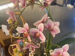 -施奈儿.洗头頭療.按摩SPA.采耳(上梅林店)