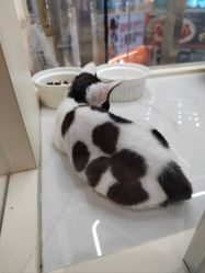 -南京美发店