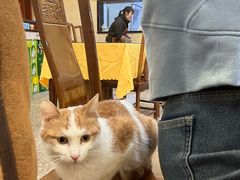 -铁家炒菜(东新街店)