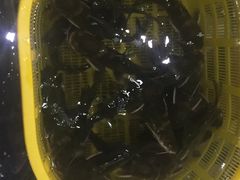 -白洋淀灶台鱼(名佳花园店)