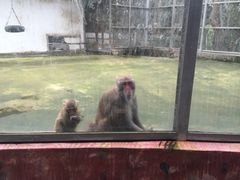 -广东茂名森林公园