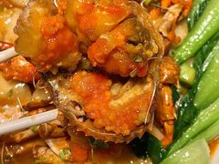 -桂满陇·海市蜃楼·黑金(国金店)