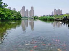 -前关湿地公园
