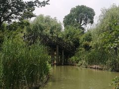 -梁鸿国家湿地公园