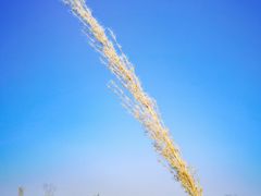 -青龙湖公园
