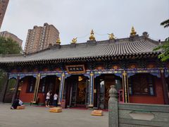 -护国法轮寺