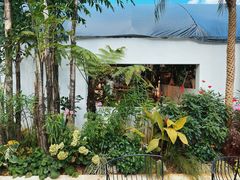 -自由生长植物工作室(深港花卉中心店)