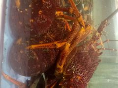 -旺顺阁海鲜广场(亚运村店)