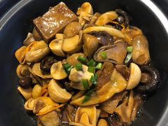 野山菌黑豆腐-峨嵋酒家(地安门店)