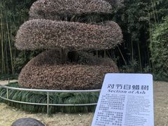 -苏州河梦清园环保主题公园