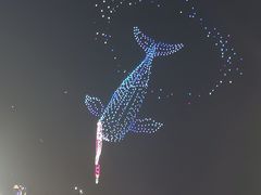 -武汉两江游览·夜游长江(汉口粤汉码头)