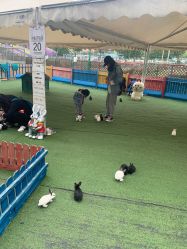 -萌宠亲子动物乐园(槐房万达店)