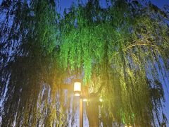 -济南大明湖景区