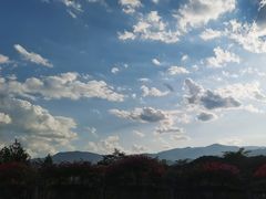-中国科学院西双版纳热带植物园