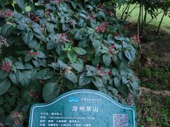 -西安浐灞国家湿地公园