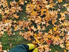 -北京园博大酒店